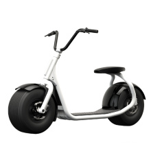 dynavolt 48V 800W 15.8Ah mini fashion electric scooter